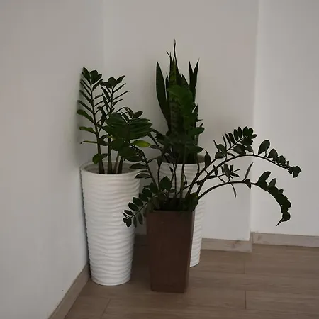 Antonis Apts, Physio Fitness Retreats Apartman